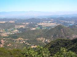 IMG_9449.jpg