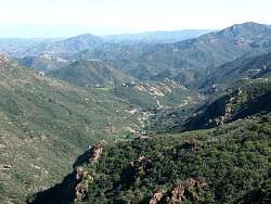 PICT2286.jpg