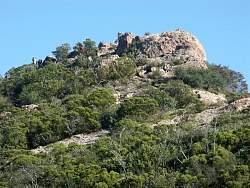 PICT2345.jpg