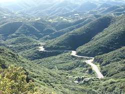 PICT2371.jpg