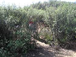 IMG_7526.jpg