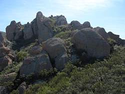 IMG_7541.jpg