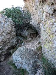 IMG_7544.jpg