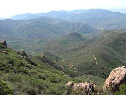 IMG_7549.jpg