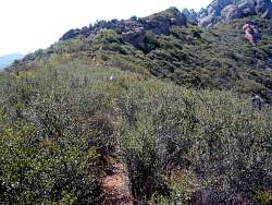 IMG_9651.jpg