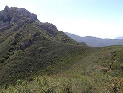 P3080007.jpg