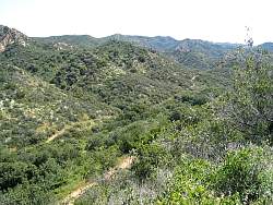 IMG_6170.jpg