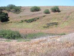 IMG_2061.jpg