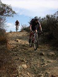 IMG_3724.jpg