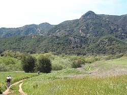 IMG_6000.jpg