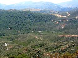 IMG_6208.jpg