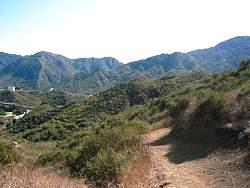 IMG_7372.jpg