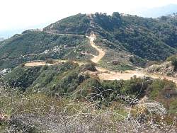IMG_8225.jpg