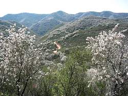 IMG_8227.jpg