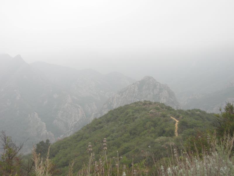 IMG_4627.jpg
