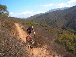 IMG_0738.jpg