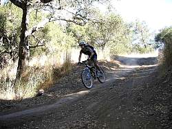 IMG_3701.jpg