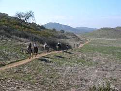 IMG_7711.jpg