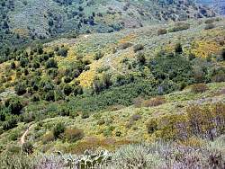 WoodCanyonVistaTrail.jpg