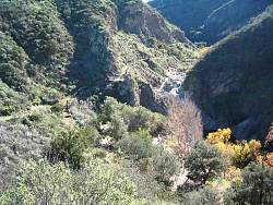 IMG_1874.jpg