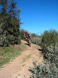 IMG_1904.jpg