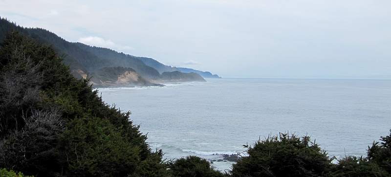 IMG_8647crop.jpg