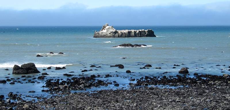 IMG_8722crop.jpg