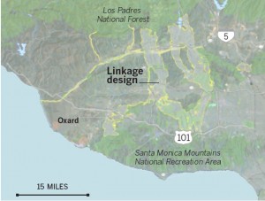 Wildlife Corridor
