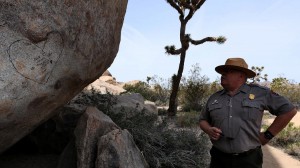 George Land checks out rocks tagged with graffiti in the Cap Rock area of Joshua Tree National Park, one of many premier federal wilderness areas struggling to curtail a new generation of vandals who deface rocks and historical structures by scrawling graffiti.