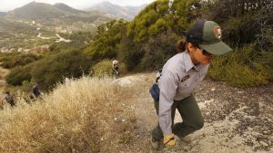 Neli Navarrete of the Santa Monica Mountains National Recreation Area scales a hilltop as crews work to complete the Backbone Trail. 