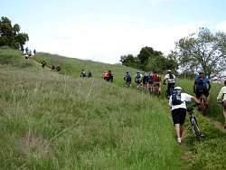 IMG_1724.jpg