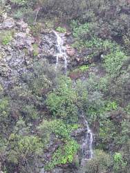 IMG_0566.jpg