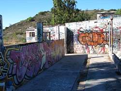 IMG_8984.jpg
