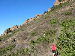 IMG_9006.jpg