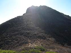 IMG_9007.jpg
