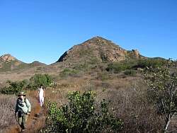 IMG_9043.jpg