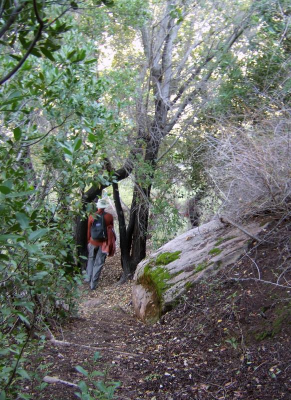 Hiking DSCF1702.jpg