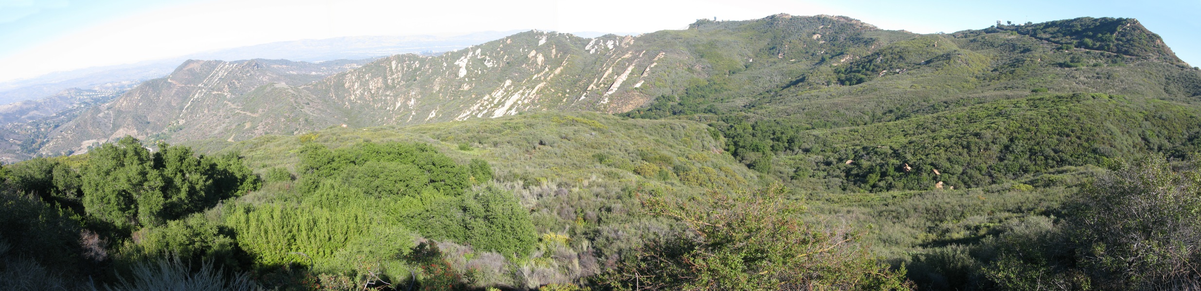 STA_2063pan.jpg