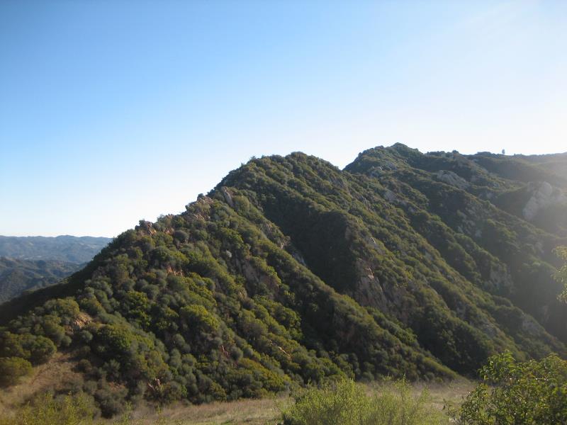 rd_2008-12-20 Cold Creek Preserve 006.jpg