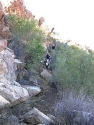IMG_1983.jpg