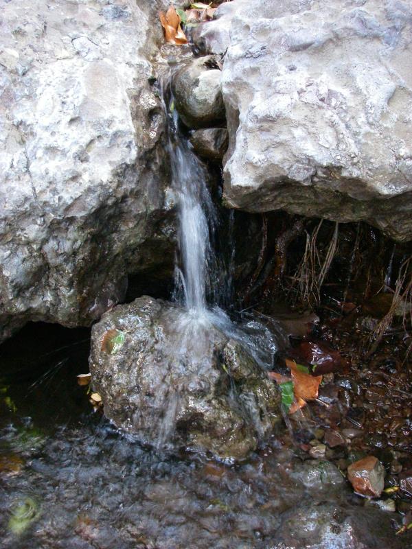 IMGP0738.jpg