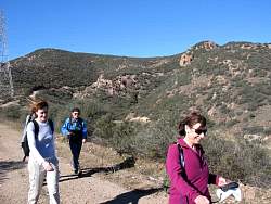 IMG_9310.jpg