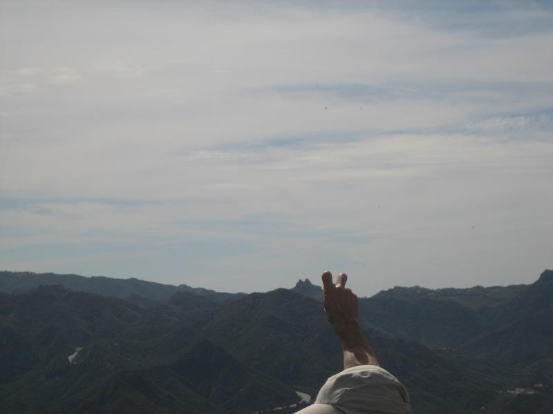 2009-02-28 Ladyface 045.jpg