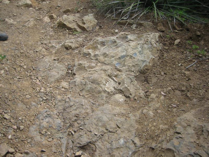 2009-03-15 Boney Mountain Loop 036.jpg