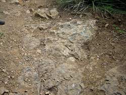 20090315BoneyMountainLoop036.jpg