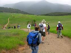 IMG_2741.jpg