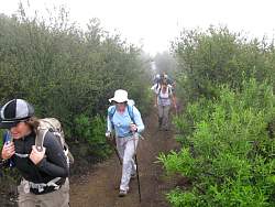 IMG_2756.jpg