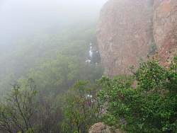 IMG_2794.jpg