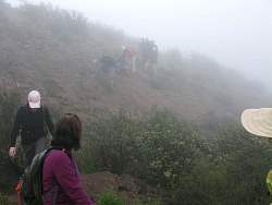 IMG_2814.jpg