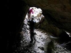 IMG_2847.jpg